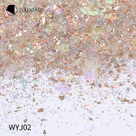 WYJ02A successful and illustrious professional journey